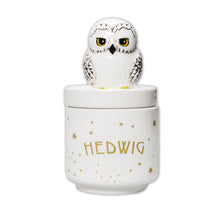 Load image into Gallery viewer, Harry Potter Hedwig Collector's Box Boxed 14cm
