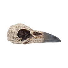 Load image into Gallery viewer, Edgar's Raven Skull 21cm