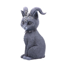 Load image into Gallery viewer, Pawzuph 26.5cm (Large)