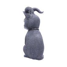 Load image into Gallery viewer, Pawzuph 26.5cm (Large)