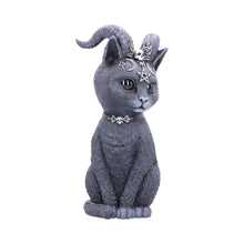 Load image into Gallery viewer, Pawzuph 26.5cm (Large)