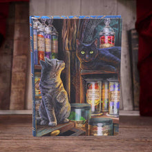 Load image into Gallery viewer, Magical Emporium Journal by Lisa Parker 17cm