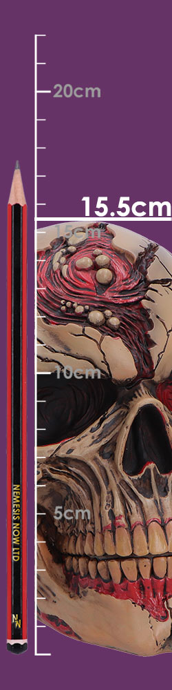 Nemesis Now Hall of Horrors Walker of Death skull full size detail