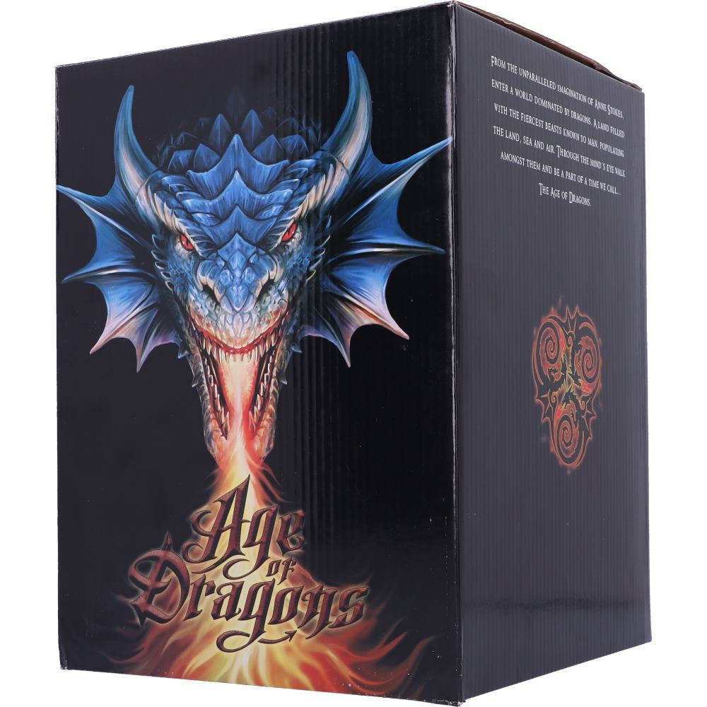 Anne Stokes dragon gift boxed detail