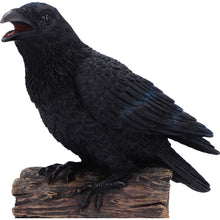 Load image into Gallery viewer, Ravens Cry 18cm