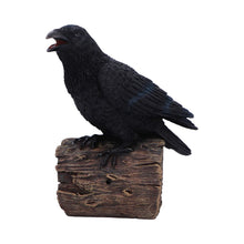 Load image into Gallery viewer, Ravens Cry 18cm