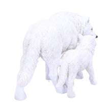 Load image into Gallery viewer, Winter Offspring 27.5cm