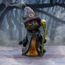 Load image into Gallery viewer, Whiskered Wizard 14cm