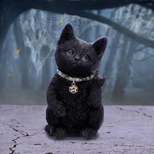 Load image into Gallery viewer, Metallicat 16.5cm