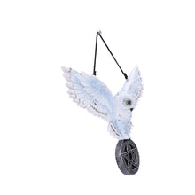Load image into Gallery viewer, Owl Talisman 20.5cm