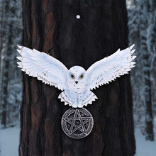 Load image into Gallery viewer, Owl Talisman 20.5cm