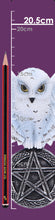 Load image into Gallery viewer, Owl Talisman 20.5cm