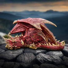 Load image into Gallery viewer, Aaden (Large)