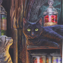 Load image into Gallery viewer, Magical Emporium Journal by Lisa Parker 17cm