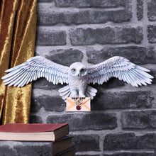 Load image into Gallery viewer, Harry Potter Hedwig Wall Plaque 45cm