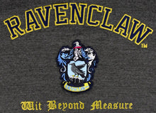 Load image into Gallery viewer, Harry Potter Unisex Ravenclaw Hooded Hoodie