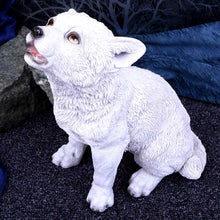 Load image into Gallery viewer, Winters Cry 22.5cm