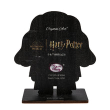 Load image into Gallery viewer, &quot;RUBEUS HAGRID&quot; Crystal Art Buddies Harry Potter
