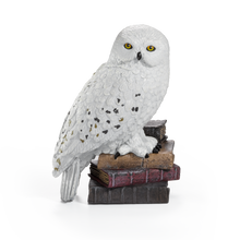 Load image into Gallery viewer, Magical Creatures #1 – Hedwig
