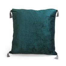 Load image into Gallery viewer, Slytherin House Mascot And Plush

