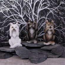 Load image into Gallery viewer, Three Wise Wolves 10cm
