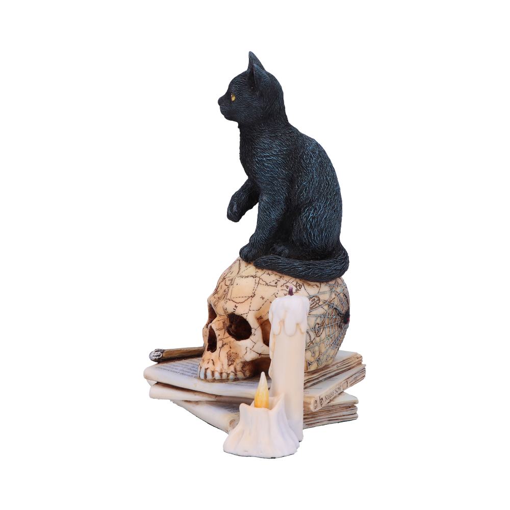 Spirits of Salem by Lisa Parker 16.5cm
