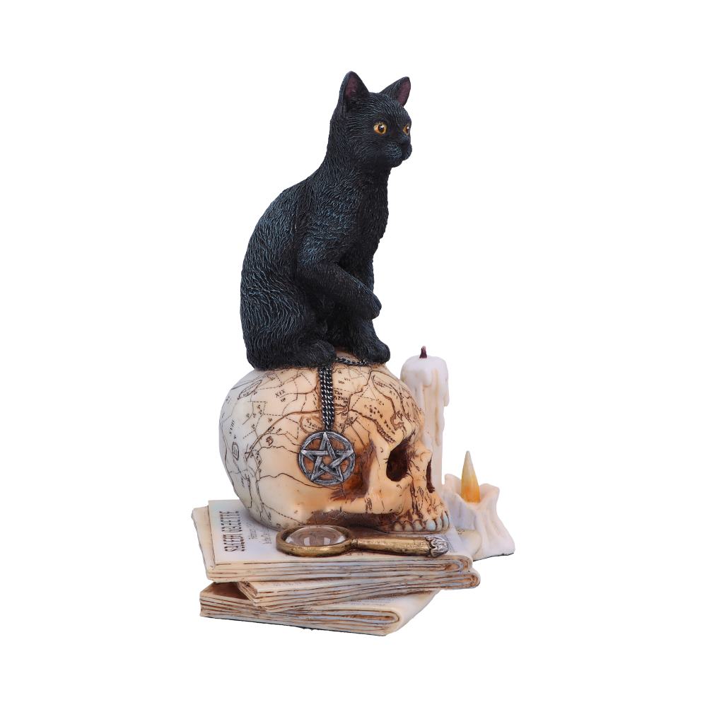 Spirits of Salem by Lisa Parker 16.5cm