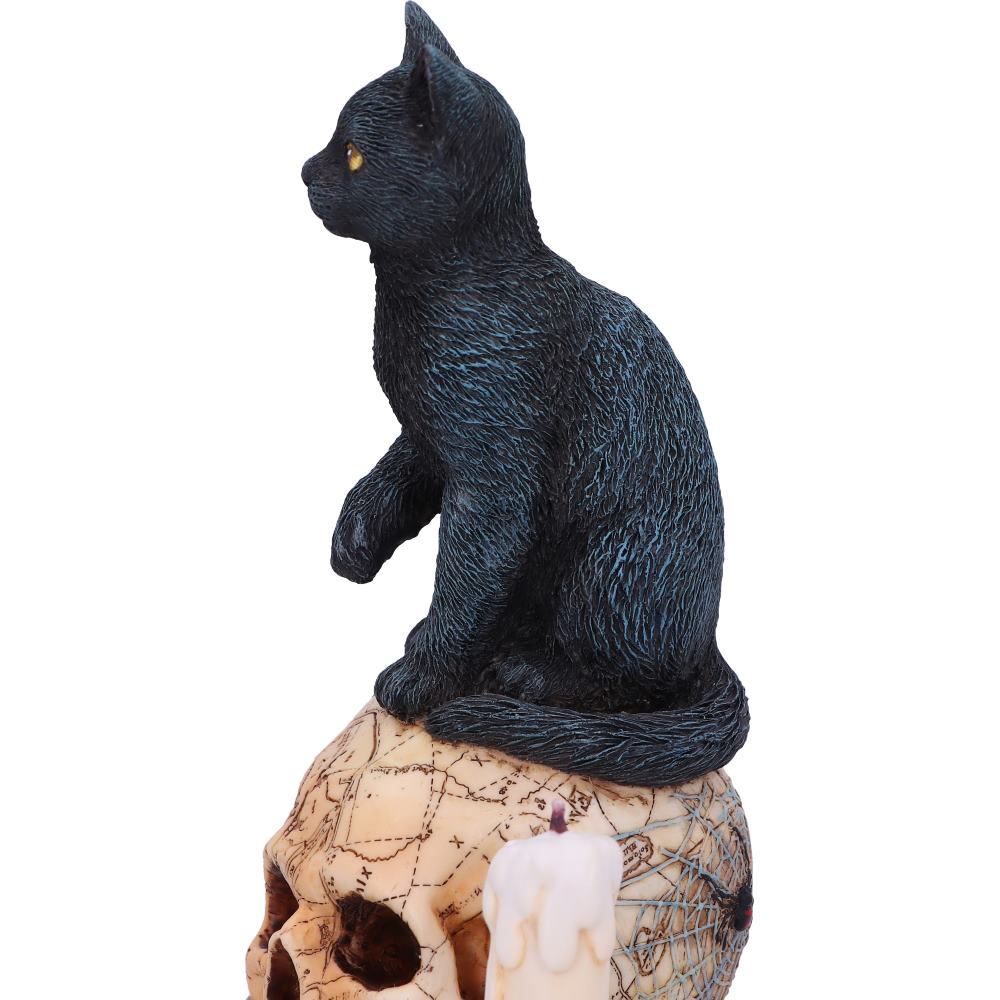 Spirits of Salem by Lisa Parker 16.5cm