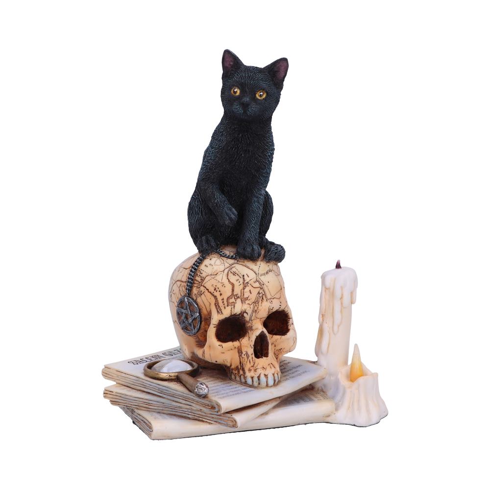 Spirits of Salem by Lisa Parker 16.5cm