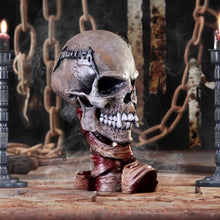 Load image into Gallery viewer, Metallica Pushead Skull 23.5cm
