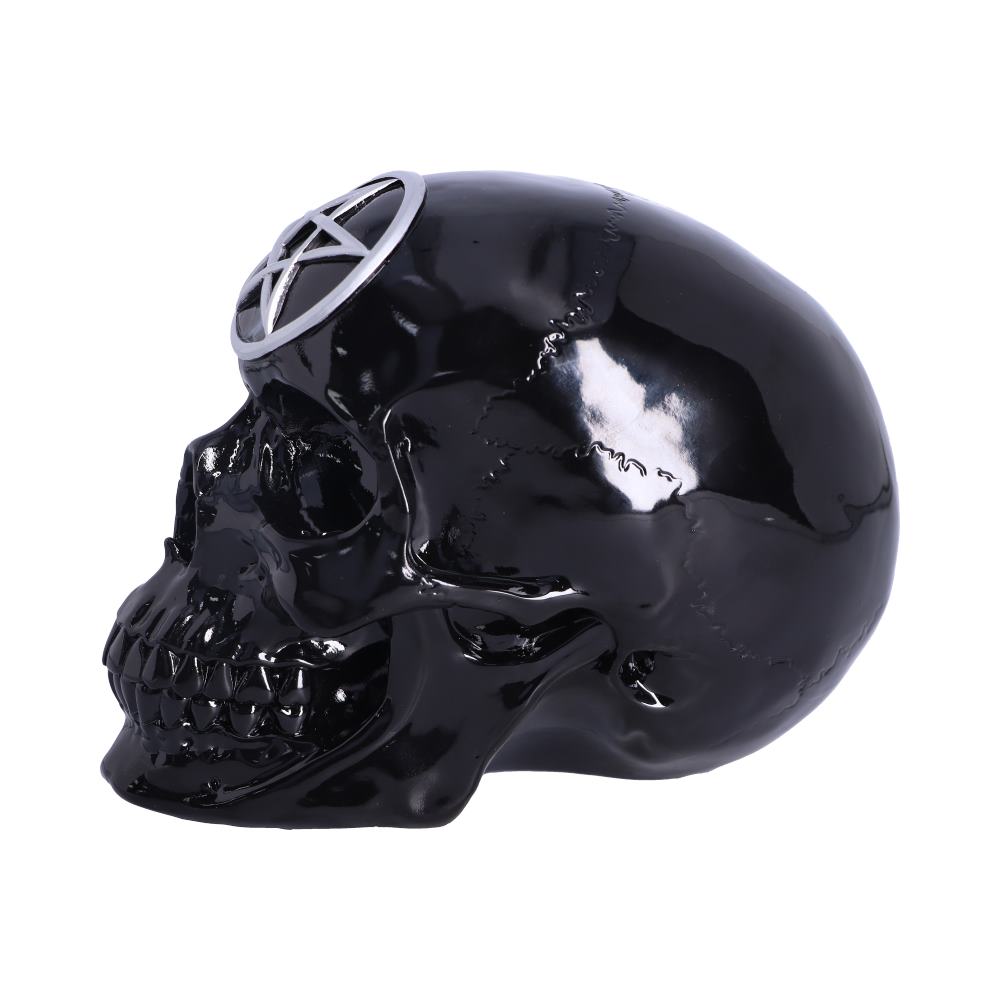 Black Magic 19.5cm