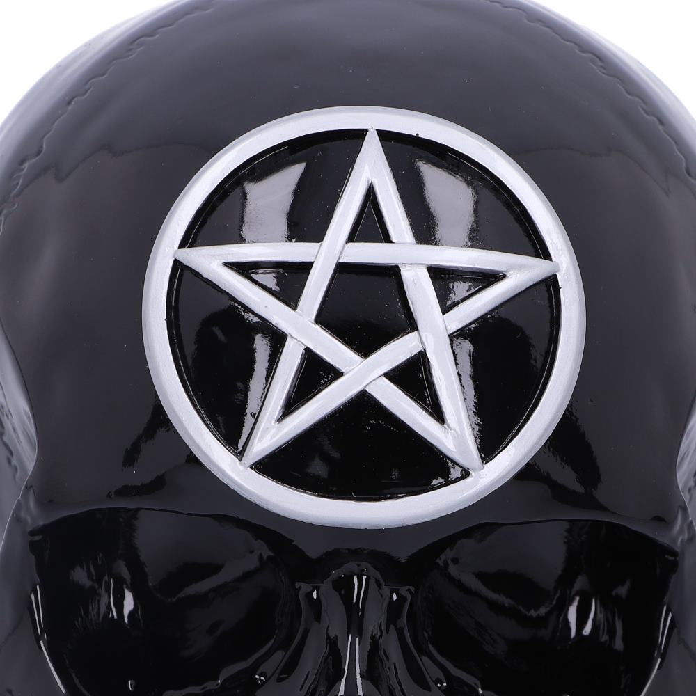 Black Magic 19.5cm