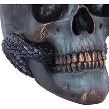 Load image into Gallery viewer, Serpentine Fate 19cm
