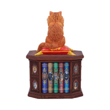 Load image into Gallery viewer, Mad About Cats Box by Lisa Parker 16.5cm
