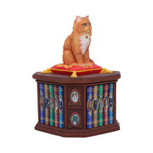 Load image into Gallery viewer, Mad About Cats Box by Lisa Parker 16.5cm
