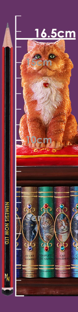 Mad About Cats Box by Lisa Parker 16.5cm