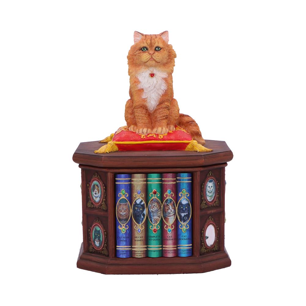 Mad About Cats Box by Lisa Parker 16.5cm