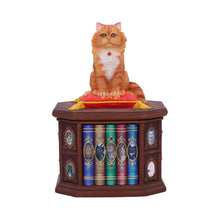 Load image into Gallery viewer, Mad About Cats Box by Lisa Parker 16.5cm

