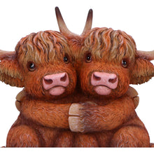 Load image into Gallery viewer, Highland Hug 14.5cm
