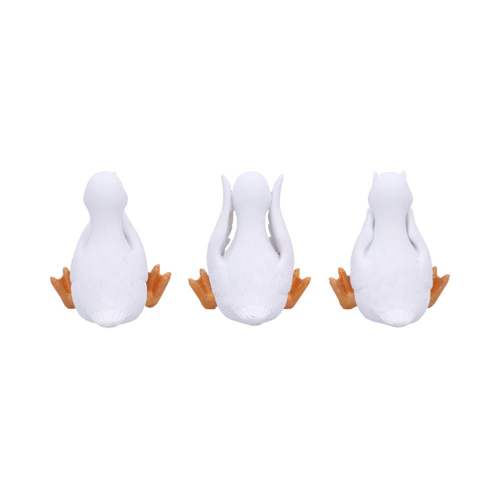 Three Wise Geese