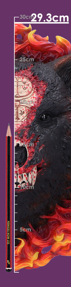 Full size display view of Diablo Mephisto Wall Plaque