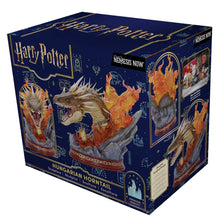 Load image into Gallery viewer, Harry Potter Hungarian Horntail Bust
