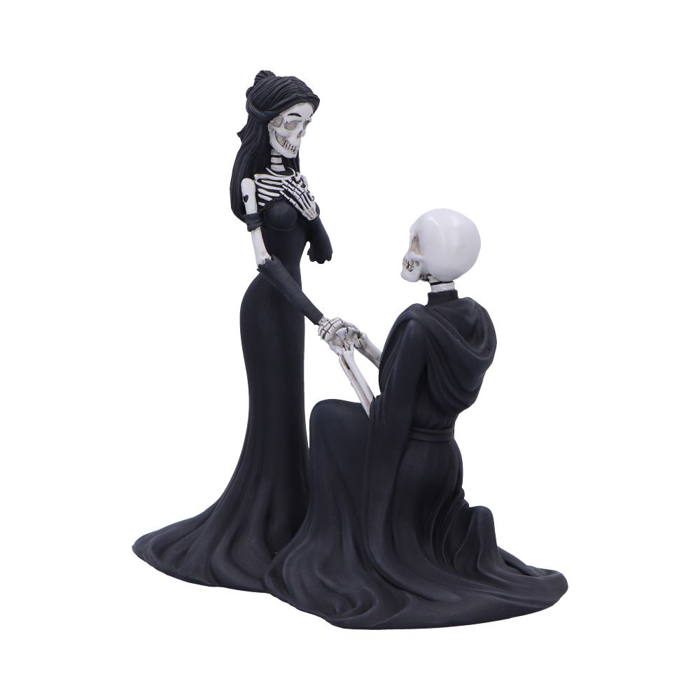 Eternal Proposal 23cm