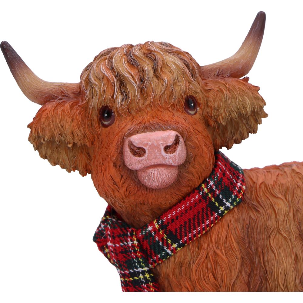 Highland Snug 11.5cm