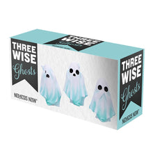 Load image into Gallery viewer, Three Wise Ghosts 7.5cm

