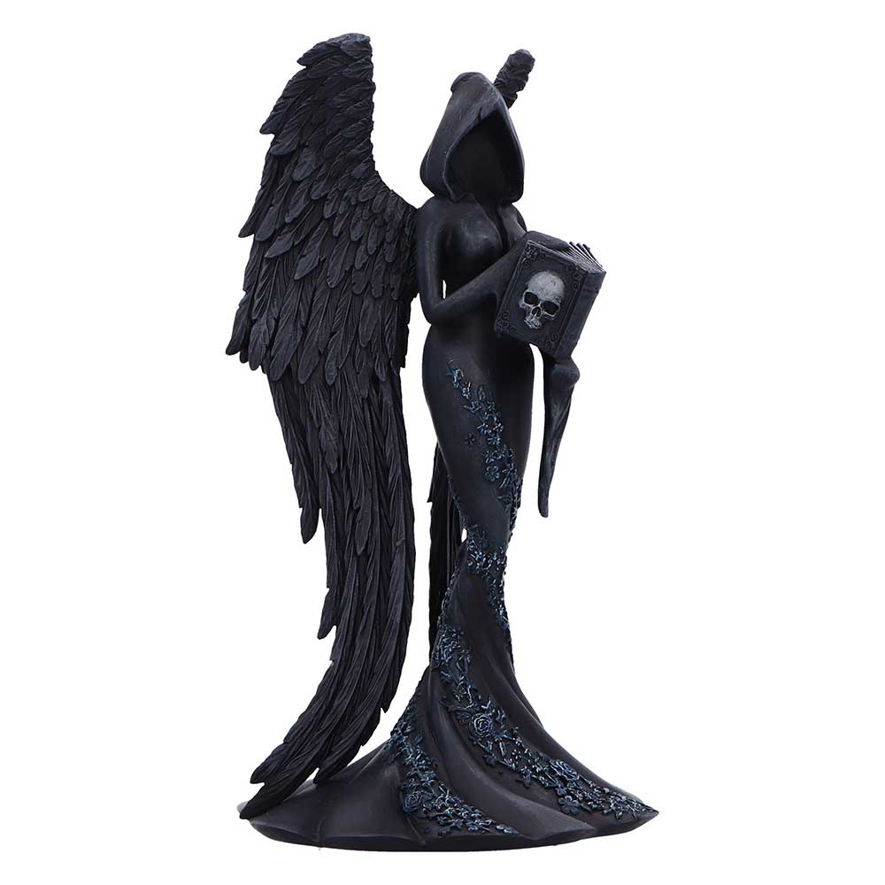 Nemesis Now Scholar figurine with wings and skull book detail