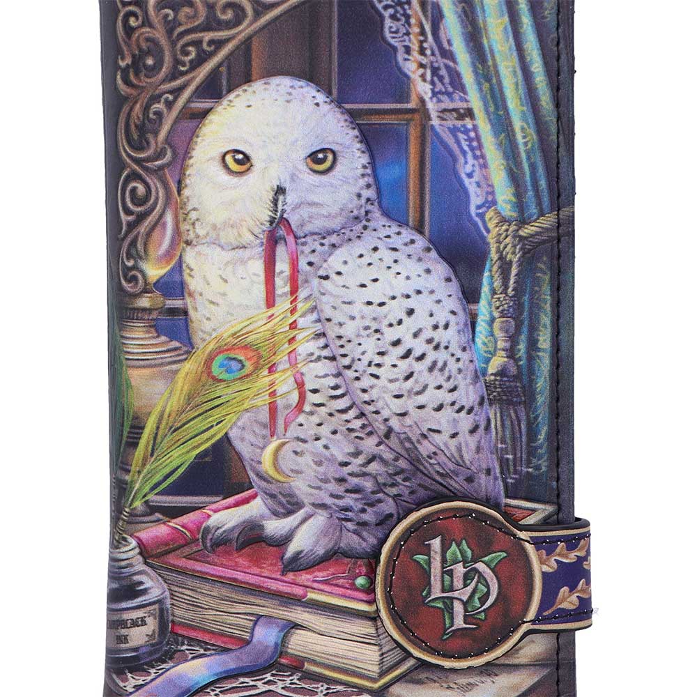 Fantasy owl purse Lisa Parker artwork