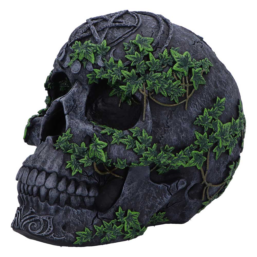 Gothic occult black skull with vegetation detailing home décor