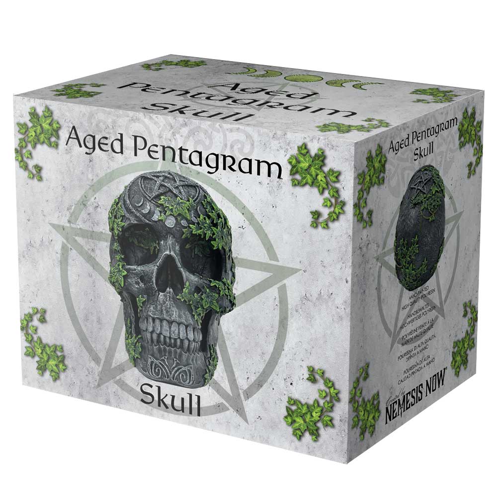 Aged Pentagram Skull Gothic Ornament securely packaged in a Nemesis Now branded box.
