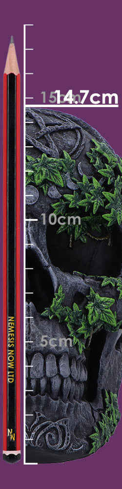 Overgrown aged skull fantasy ornament full size detail